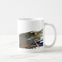 crevette mug à café