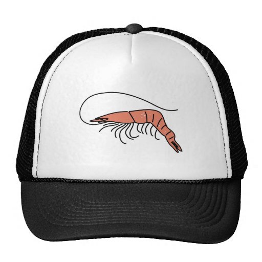 crevette rose casquette de camionneur