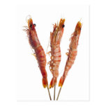 Crevette rose grillée de tigre sur une brochette cartes postales