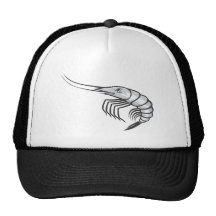 Crevette sérieuse casquette