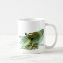 crevette tasse à café