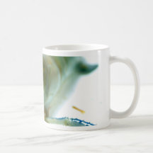 crevette tasses à café
