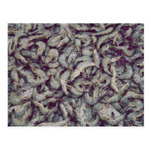 Crevettes roses grises carte postale