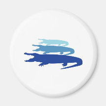 Crocodile aligné (bleu) magnets pour réfrigérateur
