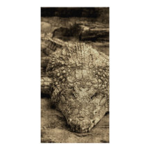 Crocodile Photocarte Personnalisée