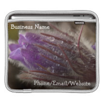 Crocus avec des perles de l'eau ; Promotionnel Housses iPad