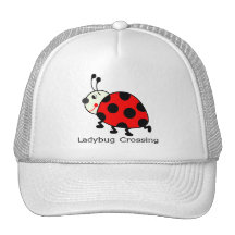 Croisement de coccinelle casquette