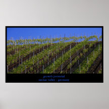 croissance potentielle posters