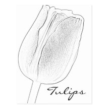 Croquis de tulipe cartes postales