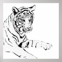 Croquis noir et blanc de tigre affiche