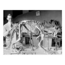 Cru de dinosaure de bébé de scientifique de paléon carte postale