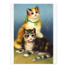 Cru de Kittens* de *Cute Bristols Personnalisés