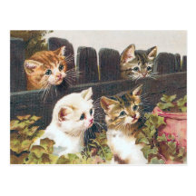 Cru de "quatre chatons" carte postale