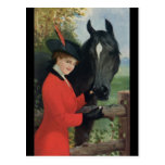 Cube équestre en sucre de cheval de manteau rouge  carte postale