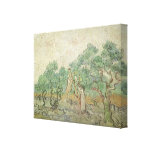 Cueillette olive par Van Gogh, impressionisme vint Impression Sur Toile