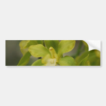 Customize Product Bumper Stickers