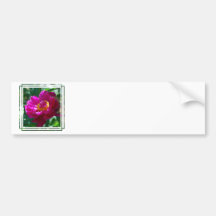 Customize Product Bumper Stickers