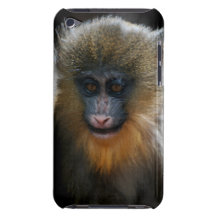 Cute Mandrill Monkey Barely There iPod Case