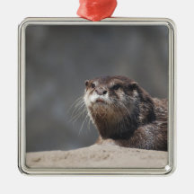 Cute River Otter Christmas Ornaments