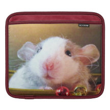 Cutom Porkchop ;) Housses iPad