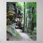 CVNP - Rebords 2010 Affiche