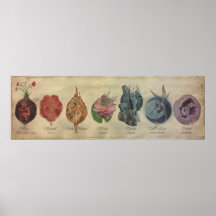 CYCLE DE CHAKRA FAE POSTER