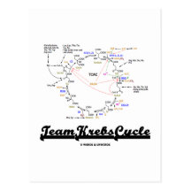 Cycle de Krebs d'équipe (cycle d'acide citrique -  Carte Postale