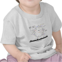 Cycle de Krebs d'équipe (cycle d'acide citrique -  T-shirt