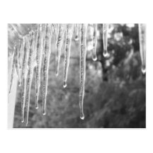 Cycles de glace carte postale