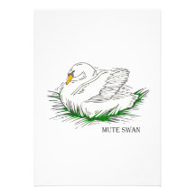 Cygne de Swacy Invitation Personnalisée