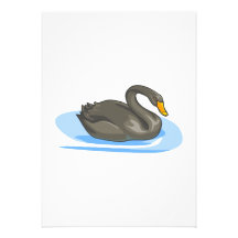 Cygne de Swerrel Faire-parts