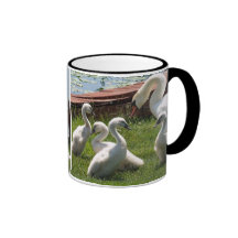 Cygne et bébés blancs tasse