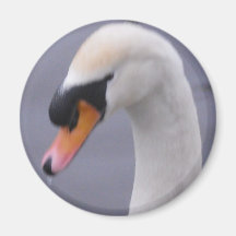 cygne magnets pour réfrigérateur