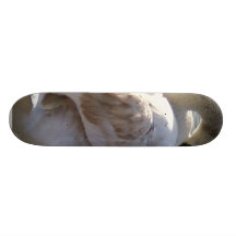 Cygne sur le lac plateaux de skateboards