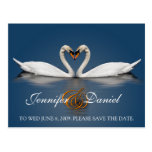 Cygnes d'amour de cadeaux de carte postale cartes postales