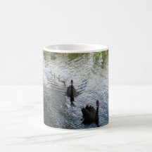 Cygnes noirs, Perth Mug