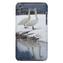 Cygnes vigilants coque iPod touch 