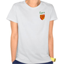 CYMRU (PAYS DE GALLES) T-SHIRT