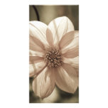 Dahlia ensoleillé photocarte personnalisée