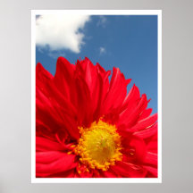 Dahlia Affiches