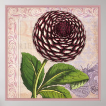 Dahlia vintage de globe sur la damassé avec la mit posters