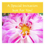 Dahlias roses oranges d'invitations colorées lumin