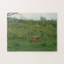 Daine et faon de cerfs communs de mule D0005 Puzzles