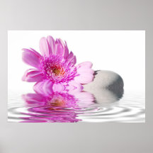 Daisie rose posters