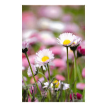 Daisy Blossoms Elegant  Romantic  Wedding Parties Stationery Paper