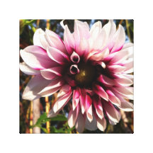 Dalia rose toiles tendues