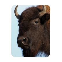 dame de bison magnet souple