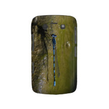 Damselfly de BB - cas de Coque-Compagnon de Blackb Coque Blackberry