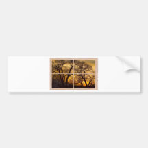 Dancing_Trees_Sunset_Picture_Window_Frame Photo_Ar Autocollant Pour Voiture