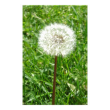Dandelion Stationery Paper
